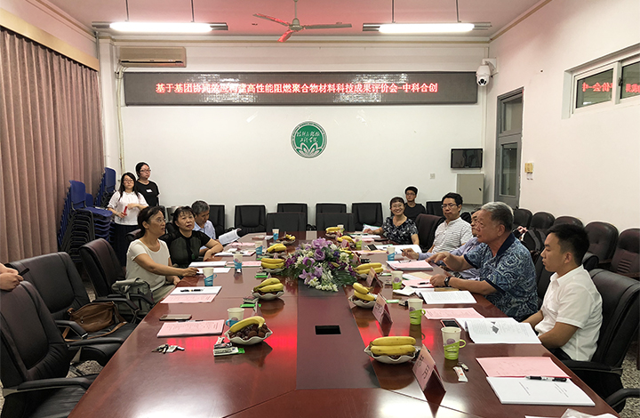 基于基团协同效应构建高性能阻燃聚合物材料 anli.jpg